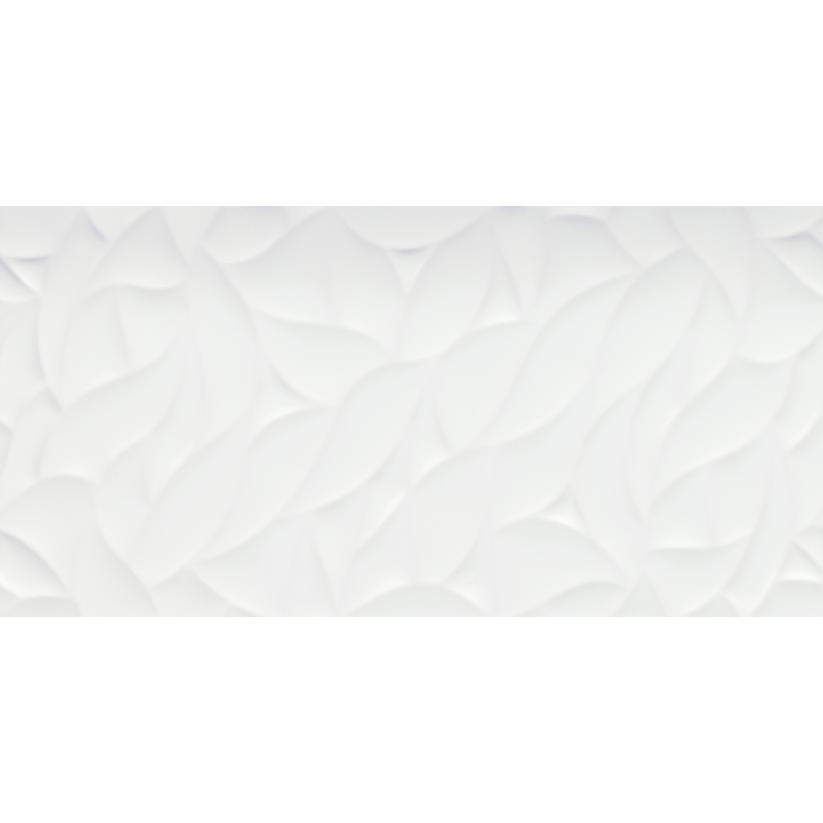 Jazz Bloom Gloss